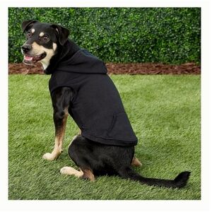 Frisco Basic Dog & Cat Hoodie - Black - Large